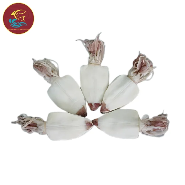 2024 Vietnam Whole Cleaned Dried Squid and Cuttlefish Size L Top Quality, Competitive Pricing, and Flexible Shipping Options