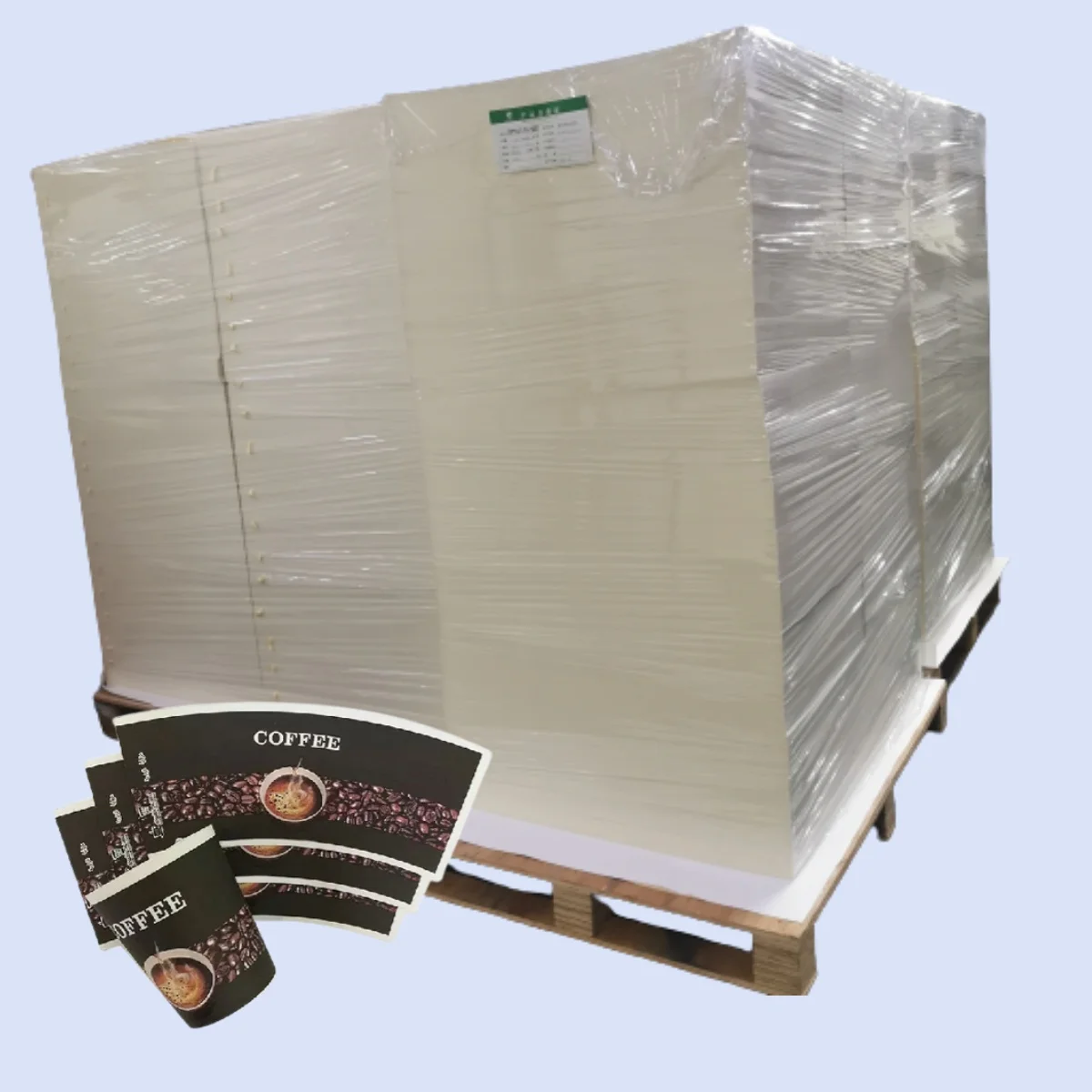 Pe Coated Paper Board In Roll Material Raw For Customized Paper Cup Sheet