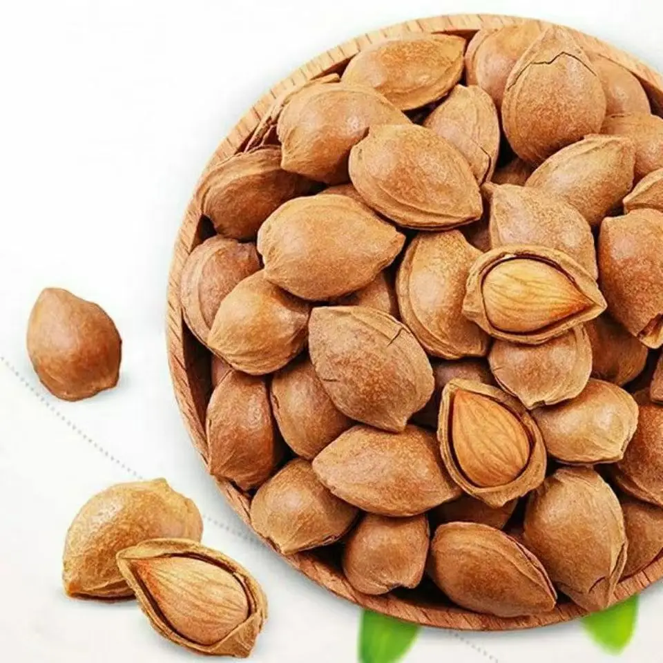 Apricot Kernels with Stone Removed Delicious Nuts for Snacking or Cooking