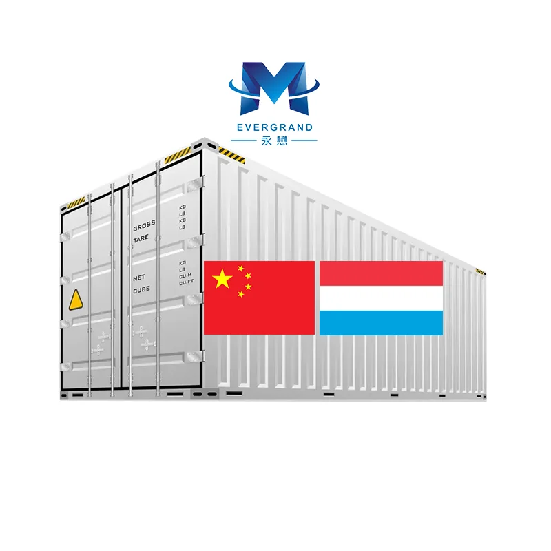 10 Years Cargo Consolidation Freight Forwarder Container Shipping China to Luxembourg Agent European Country