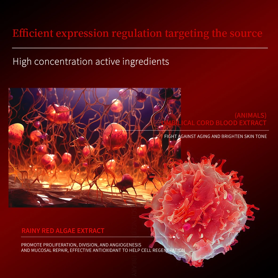 OEM/ODM customized umbilical cord blood goat embryo essence essence facial care essence firming anti wrinkle facial suit