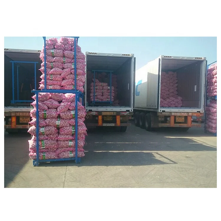 hot sale 5.5cm cheap price purple / red garlic in 20kg mesh bag 2024 newest crop wholesale with Global Gap&Haccp&ISO9001