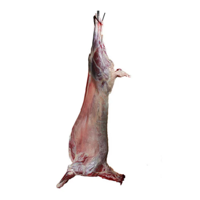 Kazakhstan 18-24kg hot NATURE frozen carcass leg  lamb halal