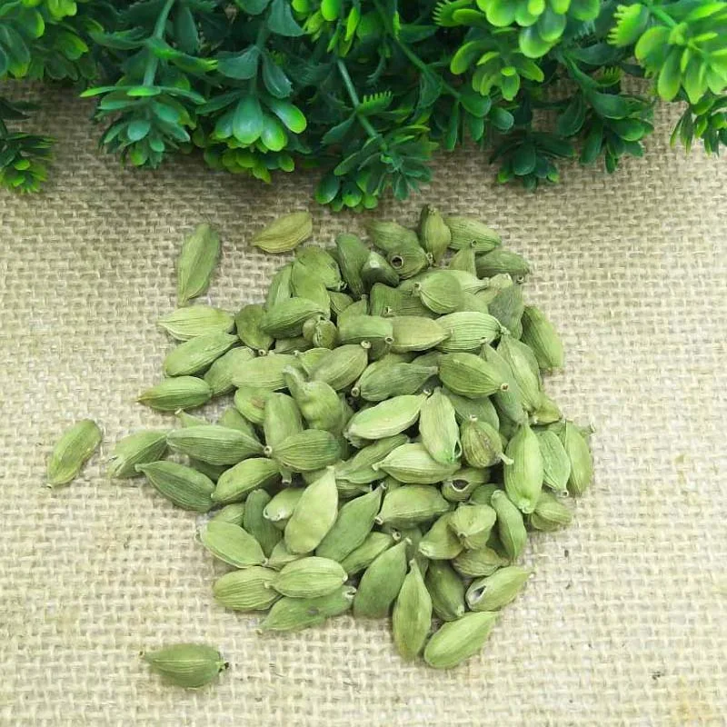 China Manufacturer 100% Natural Green Cardamom New Crop Single Spices Cardamom Green