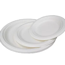 Eco friendly Biodegradable disposable natural compostable bamboo plates set tableware