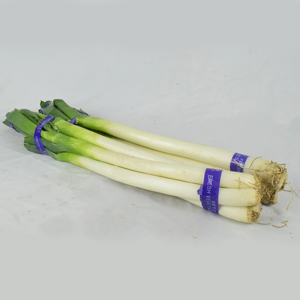 
Wholesale Pure Natural Grown Green Scallions With Competitive Price 