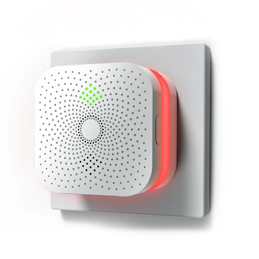 Low price gas leaking natural gas detector LPG gas detector use in home