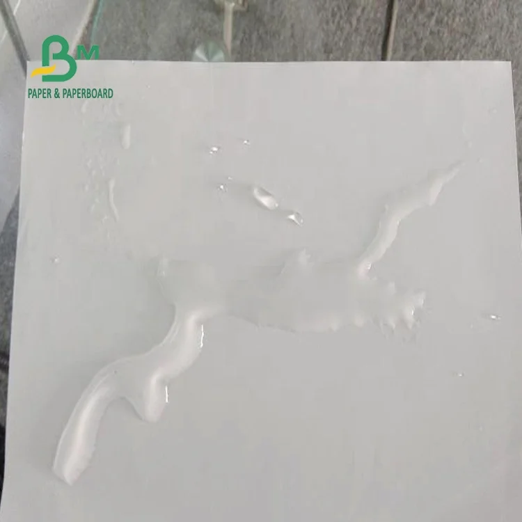 Stone Paper Made from Stone Is a Revolutionary New White Offset Printing Virgin Double Side Coated Printing & Packaging STARCH