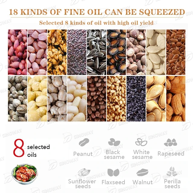 Mini 6yl 100 350kg/h palm thresher sunflower mustard peanut oil mill cold press oil machine for sale