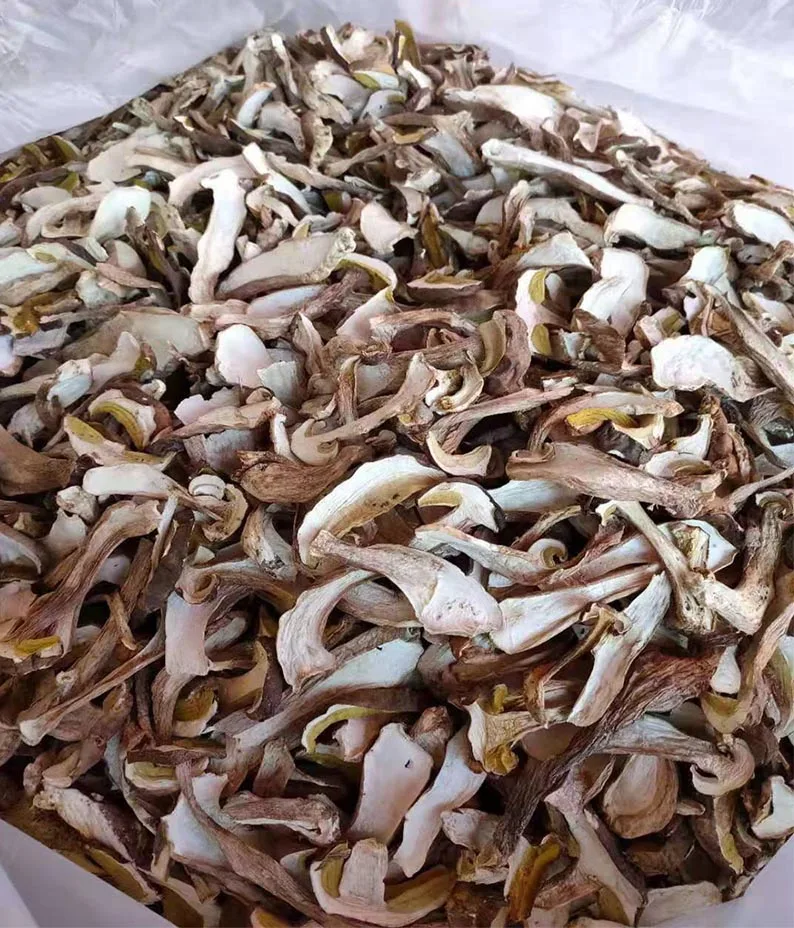 Wholesale Boletus porcini king belote mushroom