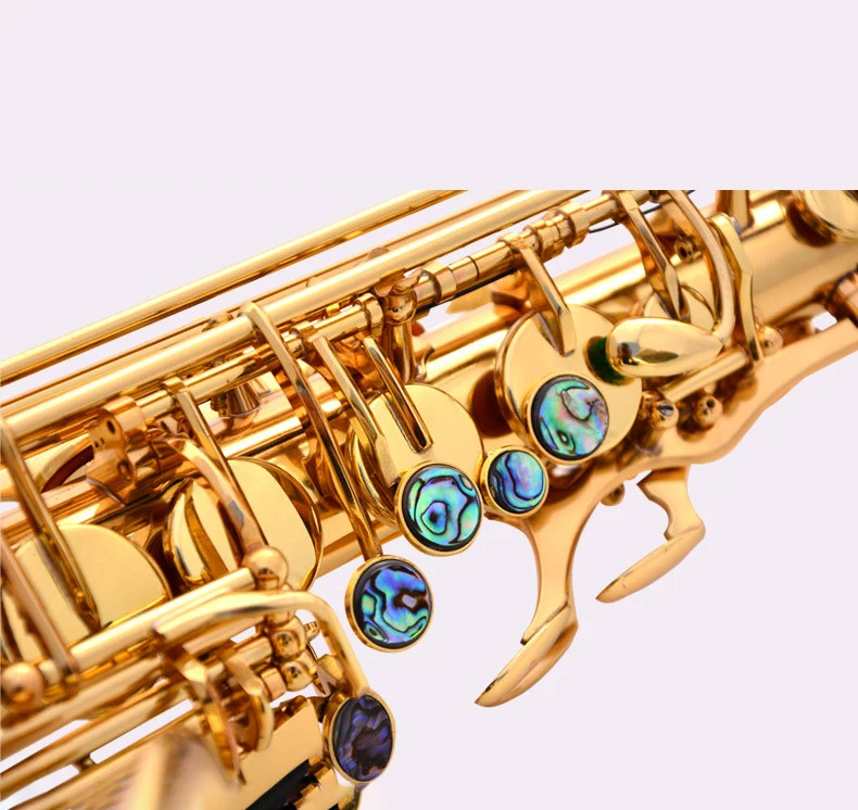 
Gold Lacquer Brass Alto Instrument Accessories Professional Eb OEM China Sax Saxophone Alto 