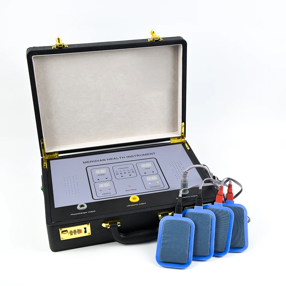 physiotherapy machine  Bioenergy Body Massager Bioelectric Meridian Dredge Pulse Dds Bio Electric Massage Device