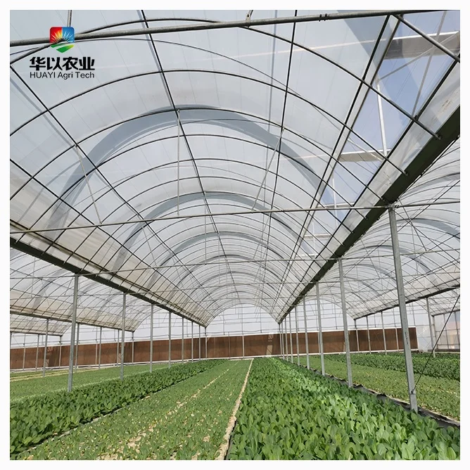 Фабричное производство овощей, теплица из УФ-пластика