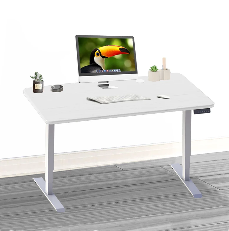 Двухмоторная регулируемая стойка из нержавеющей стали с металлическими ножками, регулируемая по высоте, офисный стол из Индии