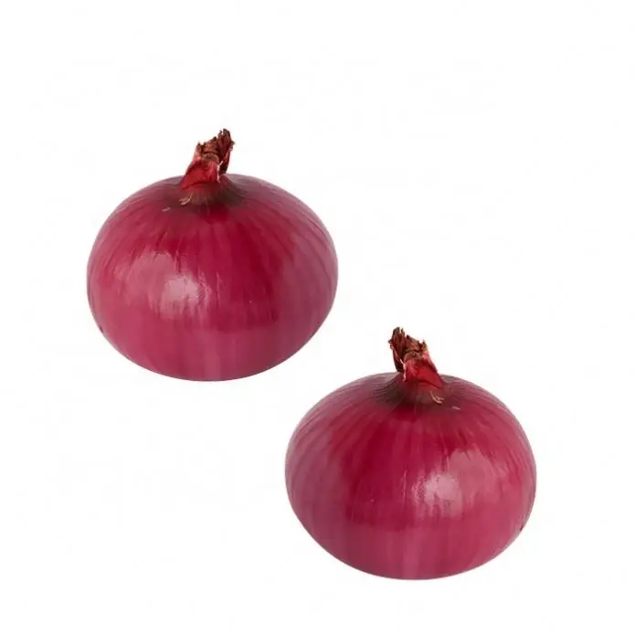 Fresh Onion In Bulk Cheap Red/Yellow Onions For Sale