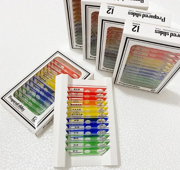 12pcs/set Plastic Microscope Slides Safe Children Slide for Kids Leaning