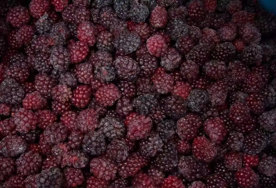 Wholesale Bulk IQF Frozen Blackberry Frozen Fruits For Export