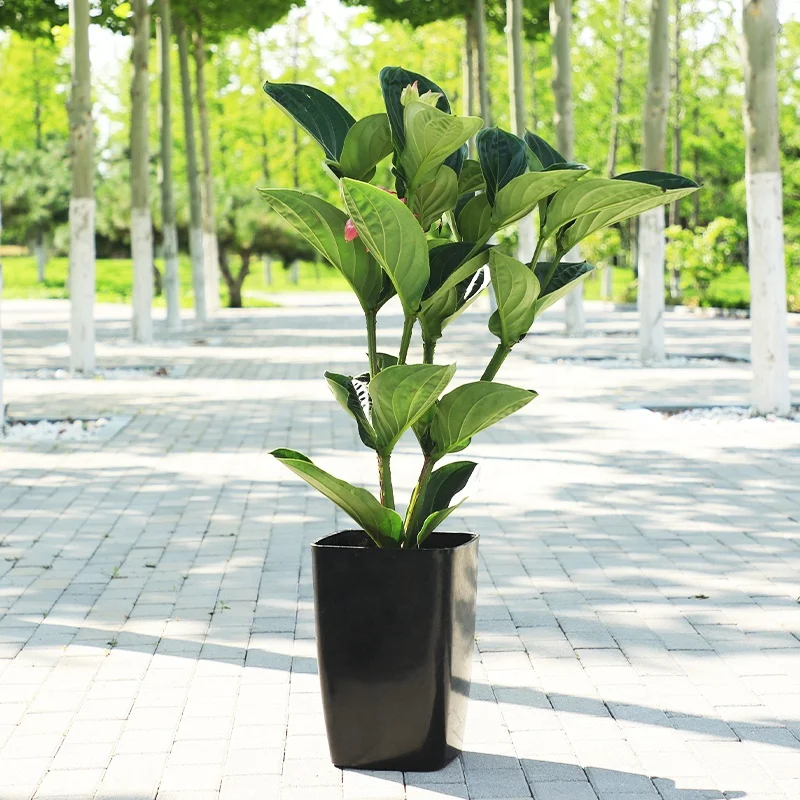 turtle plant pot pot plant saucers rubber potted plant