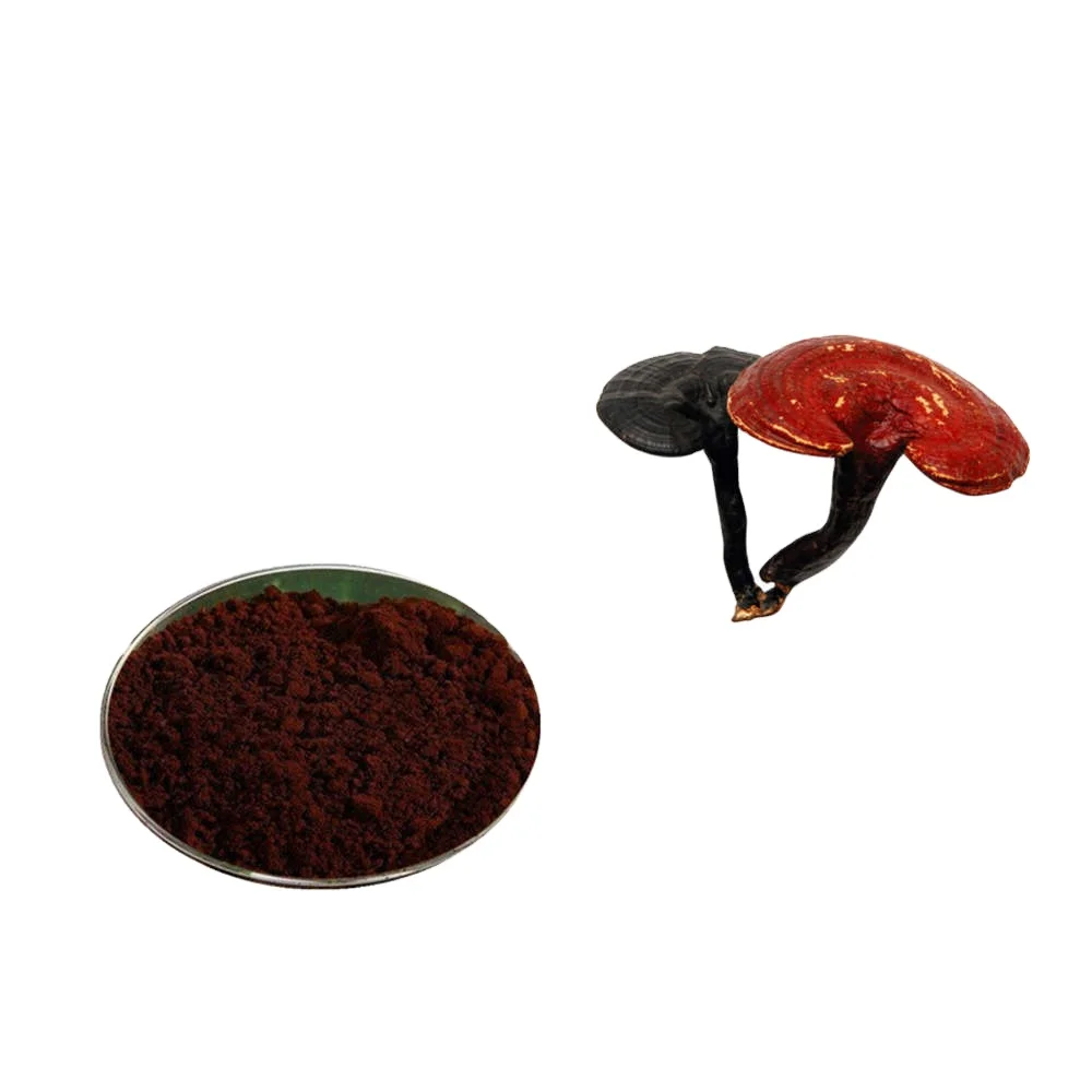 Cordyceps Mushroom Extract Sinensis Powder Manufacture 2024 New Arrival