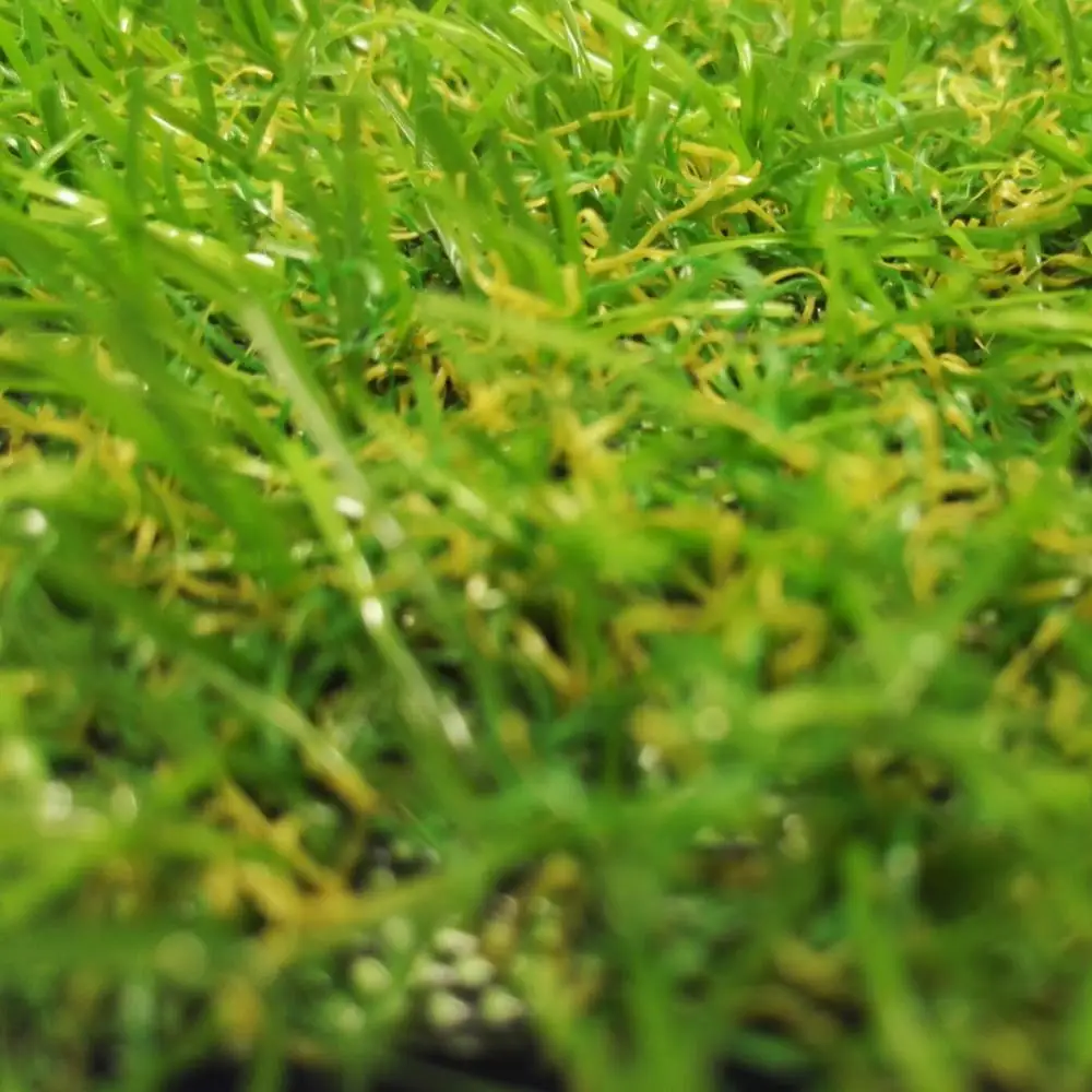 sdms colorful artificial grass for Outdoor soccer football field garden park deck floor green landscapes natural looking carpet