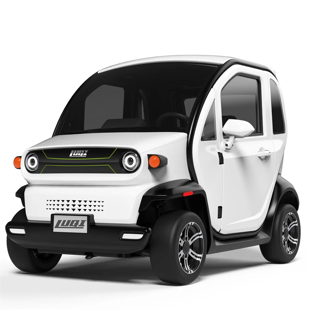 3000w High Power Adult Electric Car With