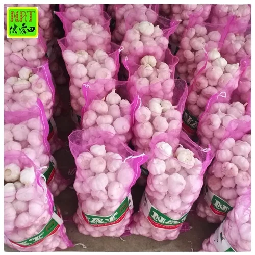 5.5 cm  fresh normal white garlic wholesale with Global Gap&Haccp 20kg mesh bag high quality garlic export with GLOBAL GAP