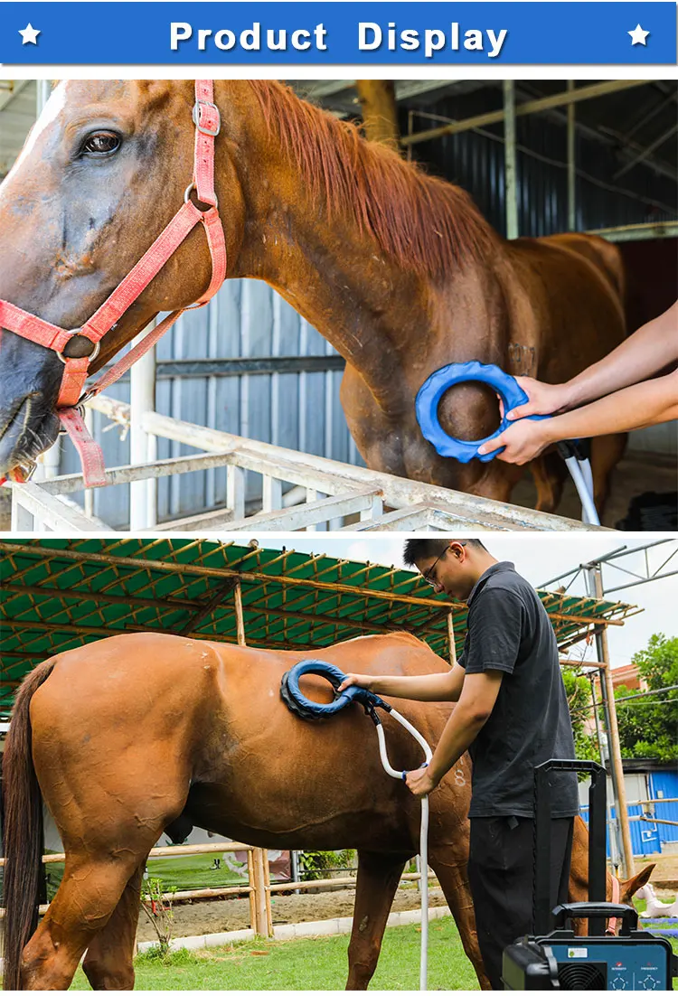 medical devices for horses horse equipment horse stable equipment