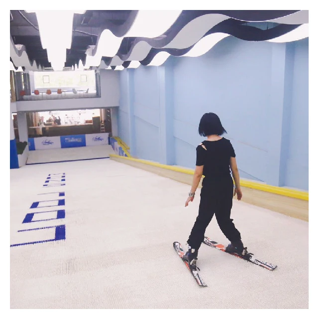 Chinese factory cheap price high quality engineering plastics artificial dry ski slope