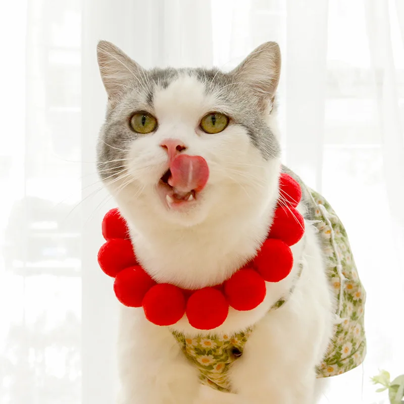 Cat Color Ball Collar Dog Hair Ball Collar Chain Birthday Jewelry Shiba Inu Corgi Collar Net Red Pet Photo