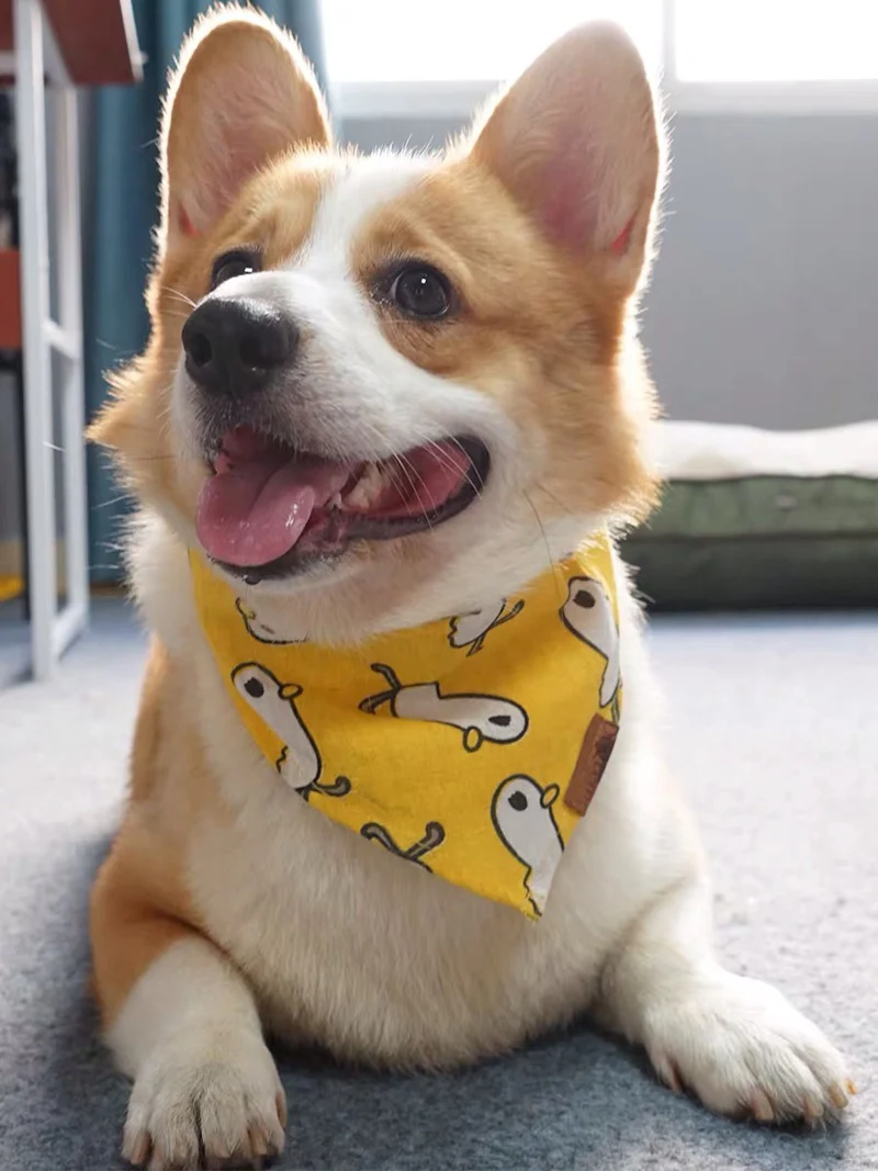 Wholesale Soft Puppy Neckerchief Scarf Detachable Collar Reversible Custom Dog Bandana