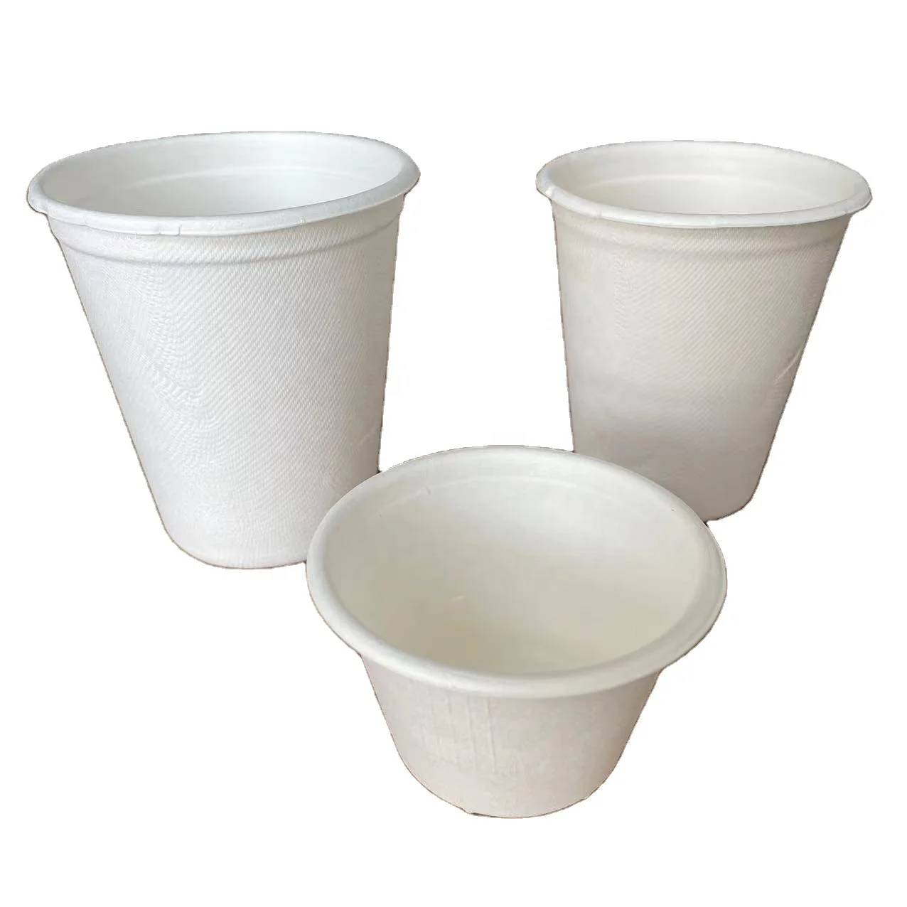 Biodegradable disposable compostable 8oz 12oz 120ml sugarcane pulp coffee tea cup eco-friendly disposable party cup with lid