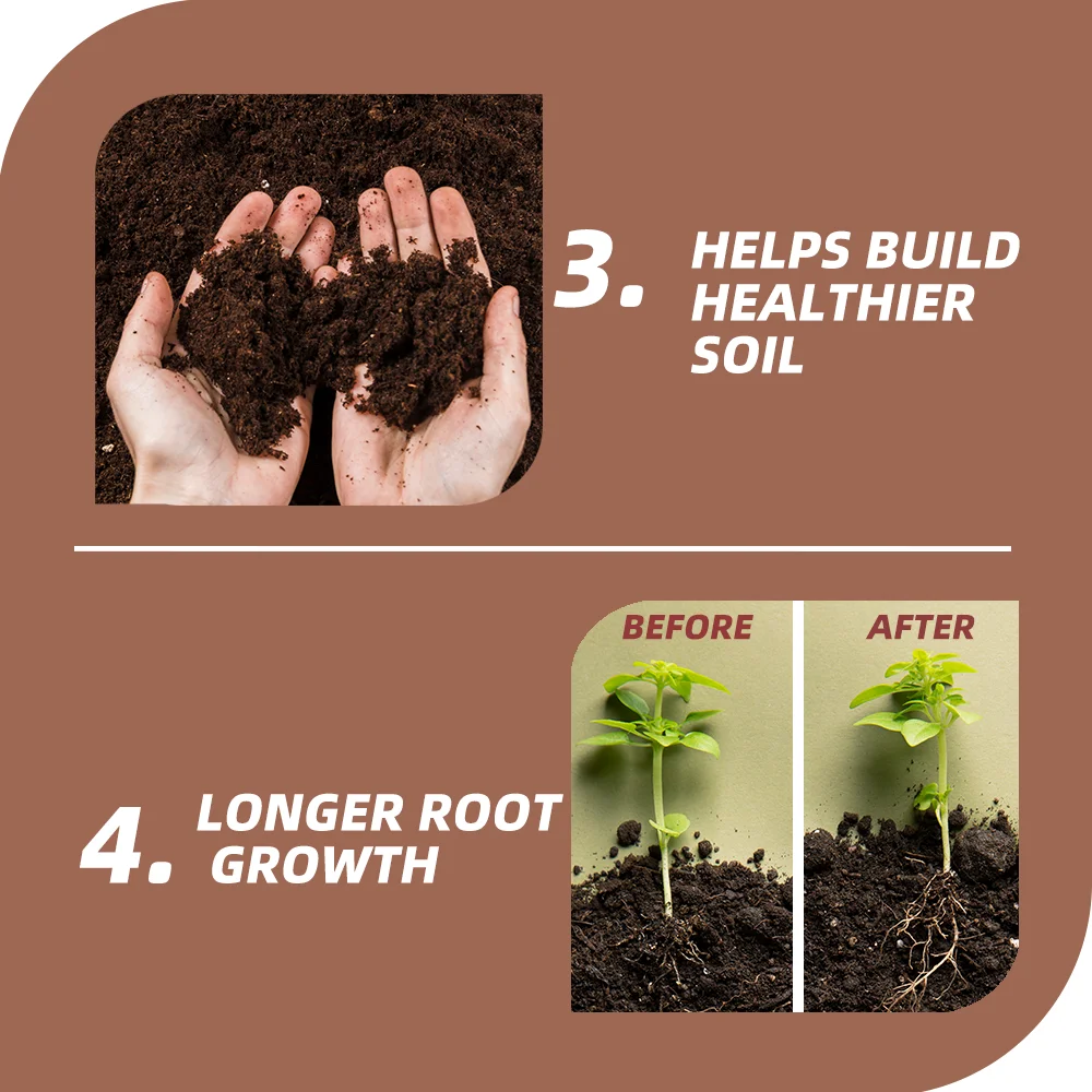 NPK Controlled Release Water Soluble Compound Fertilizer Granular for Agricultural Use  Granules Water Soluble Fertilizer