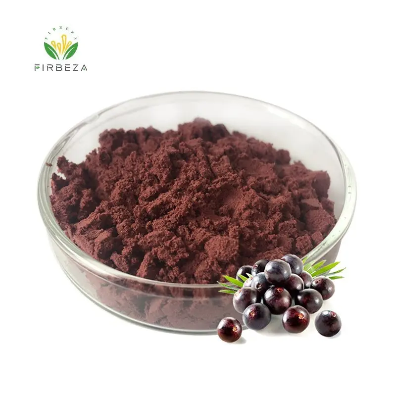 Low Price 30:1 Acai Berry Extract Powder 100% Natural Organic Brazil Acai Berry Fruit Powder
