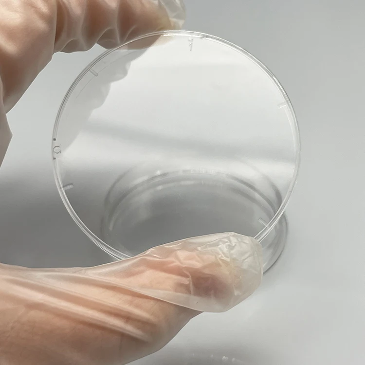 laboratory petri dishes bacterial cell culture tissue culturetreated 60mm sterile transparent round petri dish
