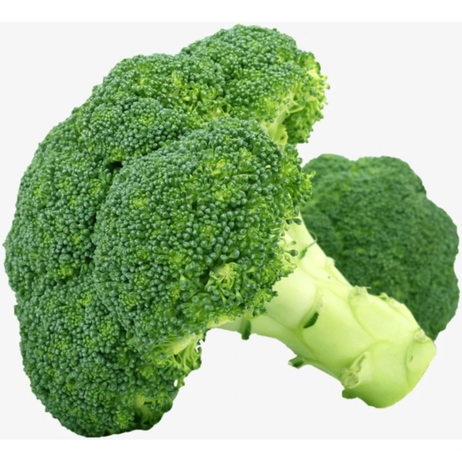 Wholesale Natural Fresh Origin Broccoli Vegetable Fresh Broccoli