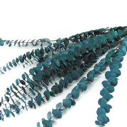 Wholesale price preserved eucalyptus l eucalyptus eucalyptus menthol crystal