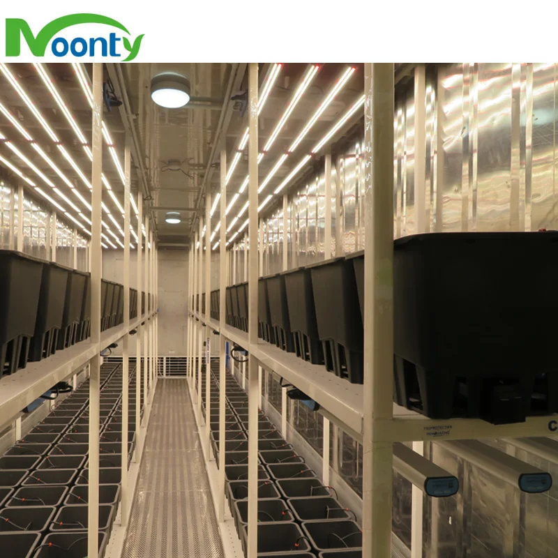Agricultural Greenhouses Hydroponics System Container Vertical Farms Agriculture NFT Hydroponic System for Lettuce/Greens