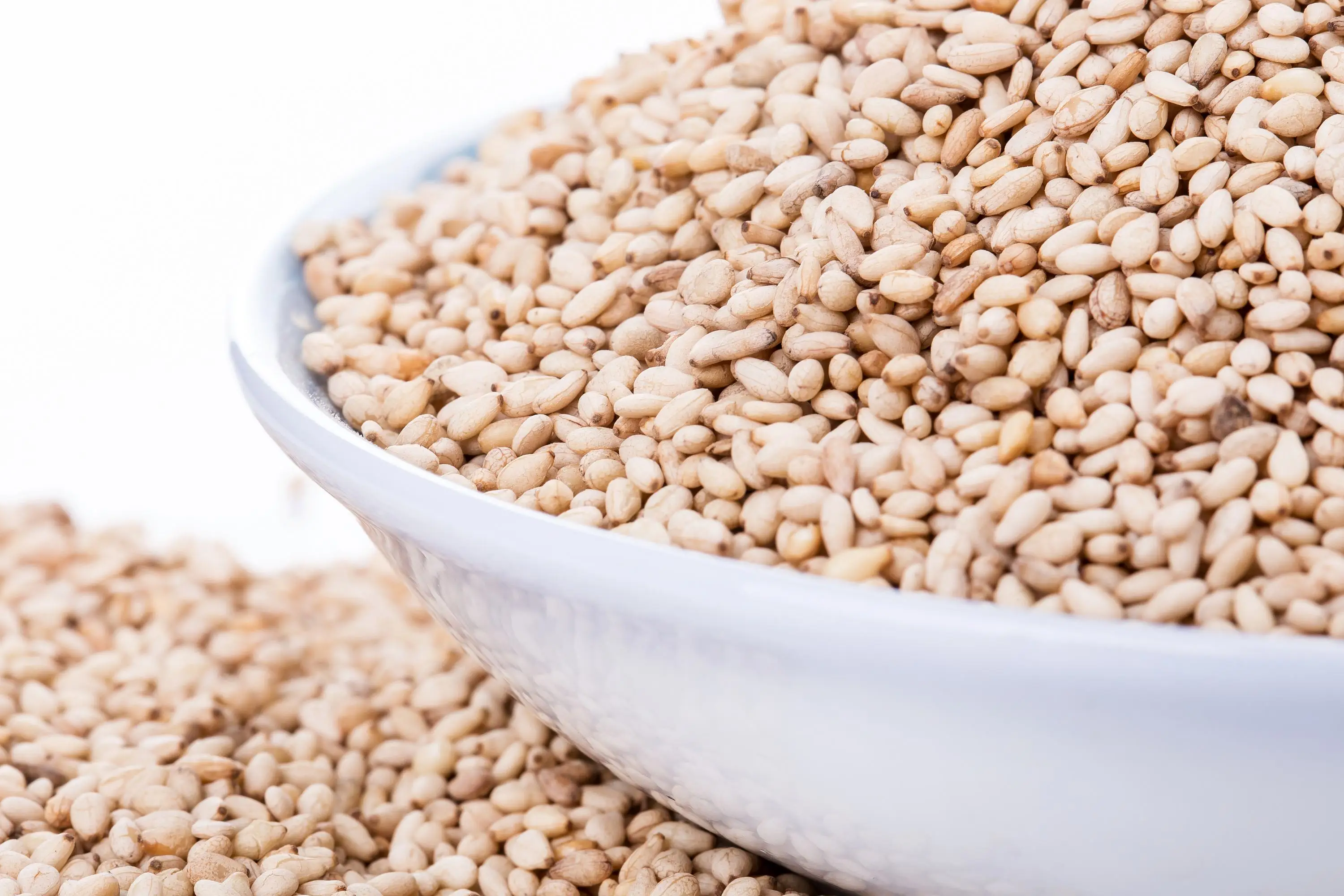 1kg     high quality  White Sesame Wholesale Price Roasted 100% white  sesame