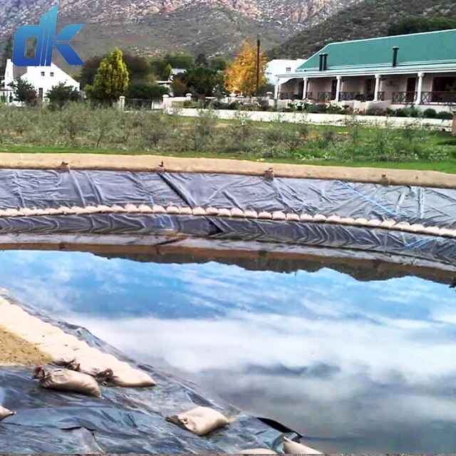 Dingkun 1.5mm thickness blue hdpe geomembrane pond liner swimming pool liner geomembrane price