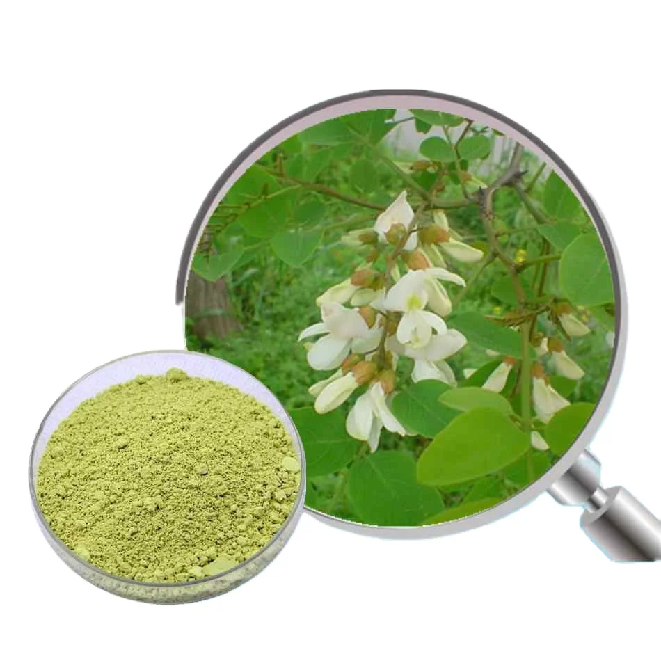 Free sample factory wholesale price high purity Quercetin CAS 117-39-5 powder
