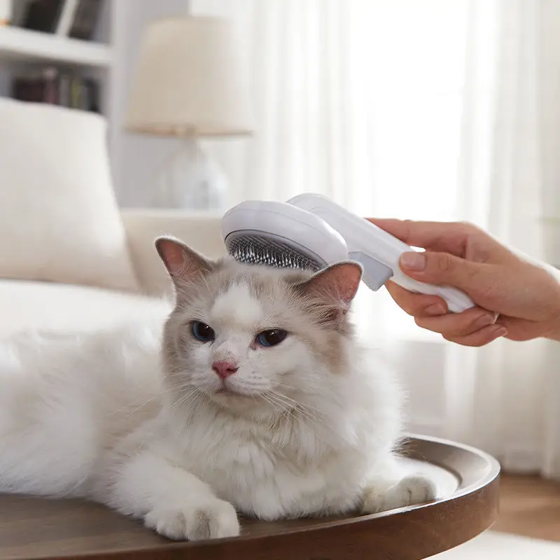 Cute Pet Hair Grooming Brush Pumpkin Comb Dog Brush With Self Clean Button With Masaging Bead On Tips Cat Brush