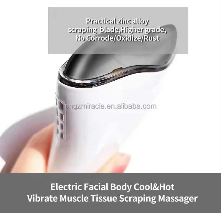 Other Home Use Beauty Equipment Anti Wrinkles Heated and Vibration LED Facial Machine for Skin Tightening Lift,Skin Care Tools