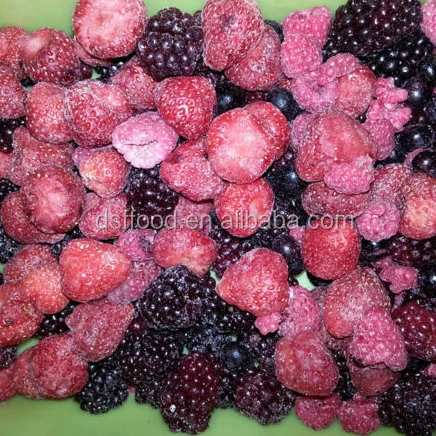HACCP Chinese frozen vegetables and fruits 24 months shelf life IQF Mixed Berries