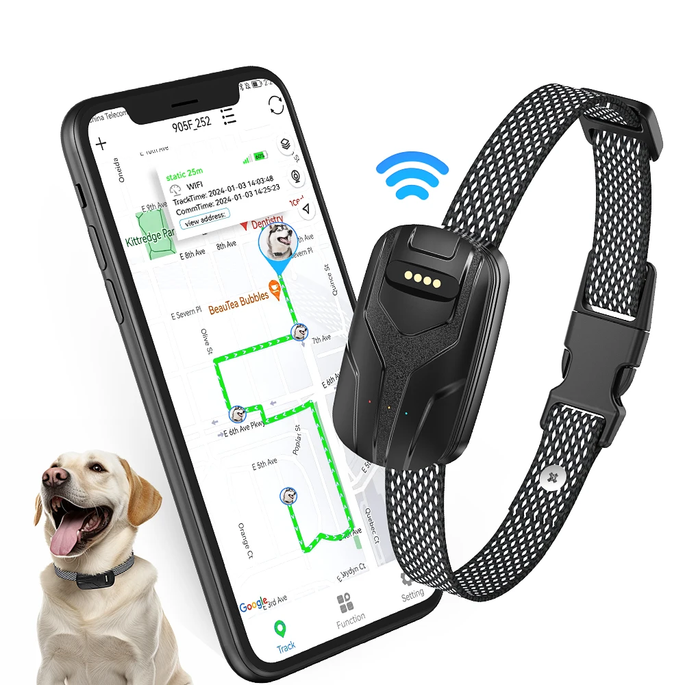 New Arrival 4G Pet Smart Tracking Device Cat Dog APP Real Time Activity Monitor Anti-lost GPS Tracker Collar with Voice Call