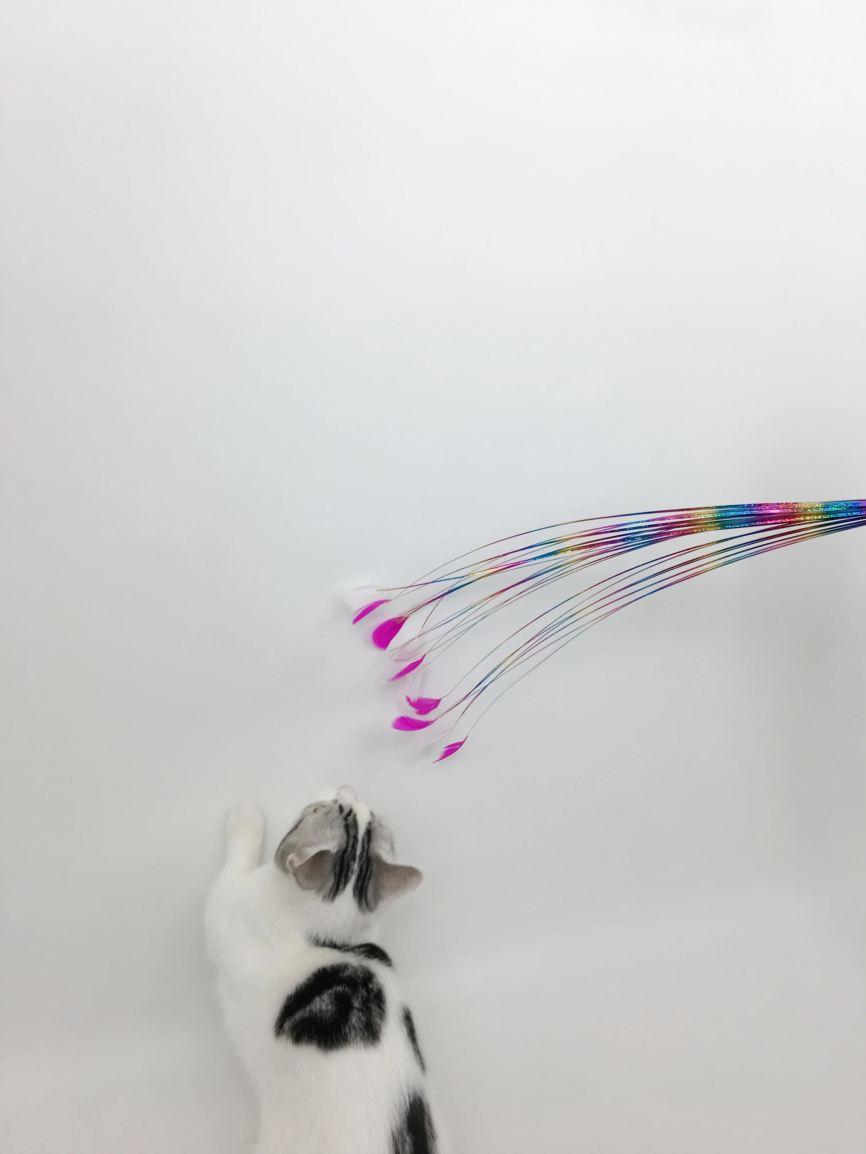 Hot Models of Pet Toys Teasing Cat Stick Wholesale 24pcs Cat Toy Set Feather Ball Bell Mous Box with Cat Feathers 10 Pcs Stocked