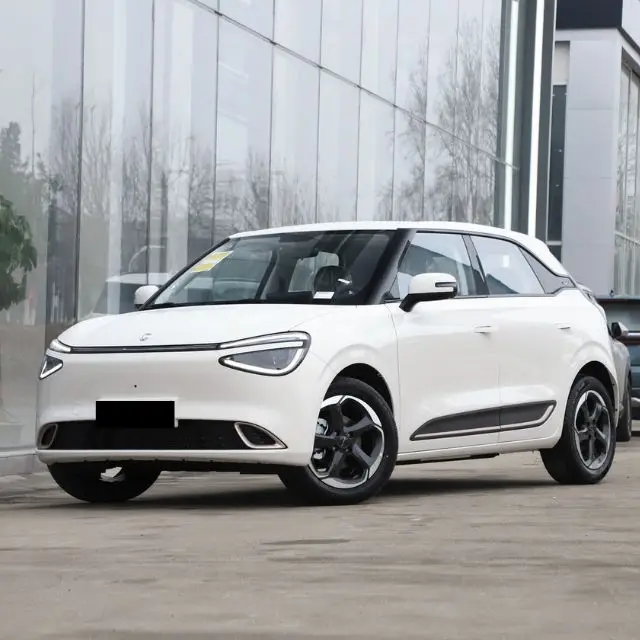 Hot Sale Stock Dongfeng NAMI 01 Electric Four-Wheel nano 330/430KM High Speed Adults EV New Energy Car