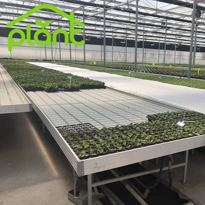 Гидропонный Ebb и потоковый вертикальный стеллаж для прожектора