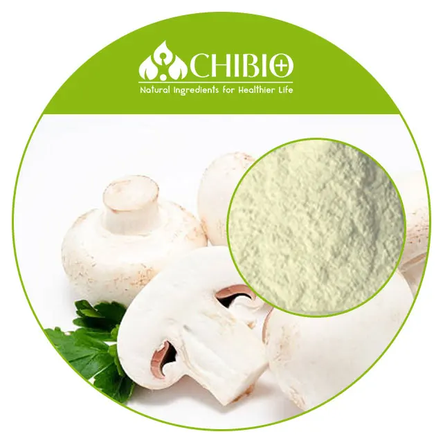 Film Forming Best Choice Factory Supply Hight Quality Fungal Mushroom Chitosan