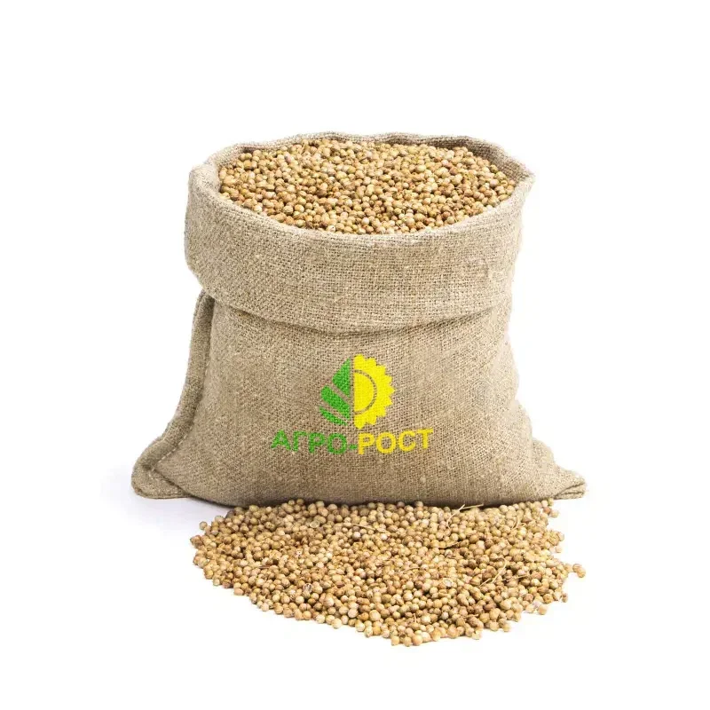 Wholesale organic dried coriander seeds single spices and herbs for perfumery cosmetics and soap making