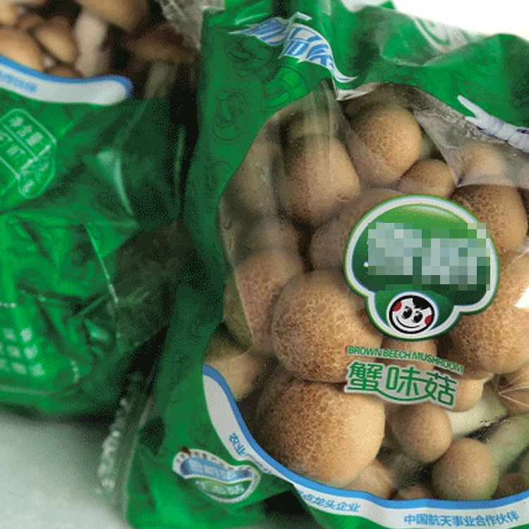 Manufactures BOPP Film Diffusion Glossy Protective Anti Fog Film